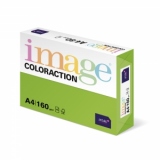 Carton color Coloraction, A4, 160g/mp, verde intens-Java, 250 coli/top