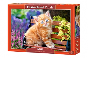 Puzzle 500 piese Ginger Kitten