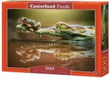 Puzzle 500 piese The Daredevill Frog