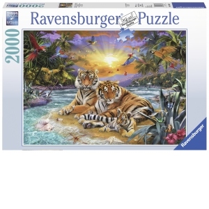 Puzzle Tigri, 2000 Piese