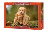 Puzzle 500 piese Puppy Love