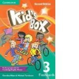 Kid's Box Level 3 Flashcards