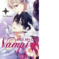 He's My Only Vampire