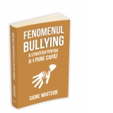 Fenomenul bullying. 8 strategii pentru a-i pune capat