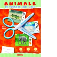Mapa Animale din tinuturile calde si reci