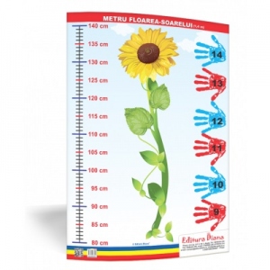 Metru floarea-soarelui 1, 4 metri - plansa 50x70 - Proiecte Tematice