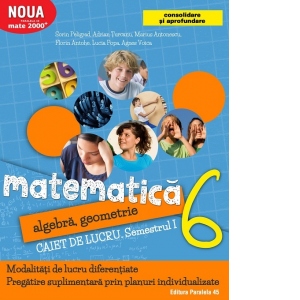 Matematica. Algebra, geometrie. Caiet de lucru. Clasa a 6-a. Semestrul I. Consolidare si aprofundare (2017-2018)