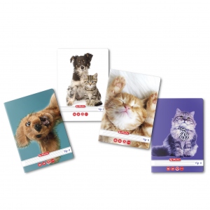 Caiet A5, 24 file, Tip II, motiv Cute Animals Premium