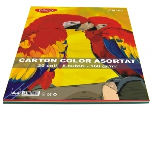 Carton color A4 30 coli 5 culori DACO 160g/mp CN161