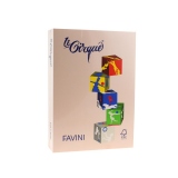 Carton color 160 g/mp A4 sepia Favini 103