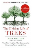Hidden Life of Trees