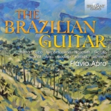 The Brazilian Guitar (Flavio Apro)