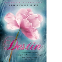 Destin (continuarea romanelor Aripi, Farmece si Iluzii)