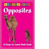 Opposites flash cards