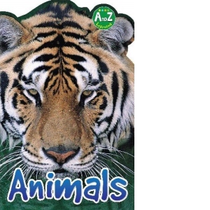 A to Z learning - Animals