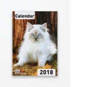 Calendar de perete 2018 format A4 - Pisici