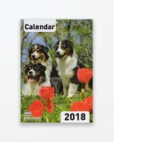 Calendar de perete 2018 format A4 - Caini