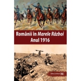 Romanii in Marele Razboi. Anul 1916. Documente, impresii, marturii