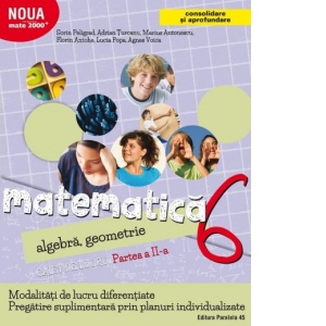 Matematica. Algebra, geometrie. Caiet de lucru. Clasa a 6-a. Partea a II-a. Consolidare si aprofundare (2017-2018)