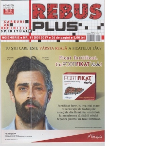 Rebus Plus, Nr. 11/2017