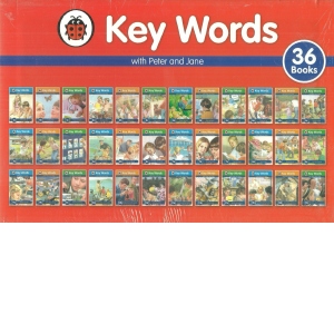 Key Words Collection x36 books