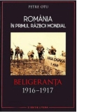 Romania in primul razboi mondial. Beligeranta 1916-1917