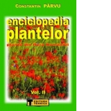Enciclopedia Plantelor (vol.II) - Plante din flora Romaniei