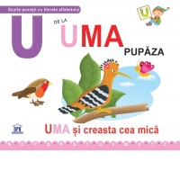 U de la Uma, pupaza. Uma si creasta cea mica - Cartonata