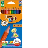 Creioane colorate 12 culori Evolution Bic