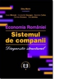 Economia Romaniei. Sistemul de companii. Diagnostic structural