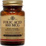 Folacin (Folic Acid) 800μg 100 tablete