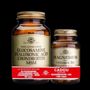 Pachet Glucosamine Hyaluronic Acid Chondroitin MSM 60tablete + Magnesium cu B6 100 tablete GRATIS