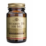 Vitamin B-6 100mg 100 veg caps
