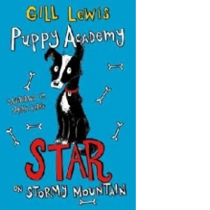 Puppy Academy: Star on Stormy Mountain