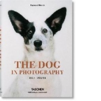 Dog In Photography 1839 - Today