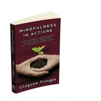 Mindfulness in actiune. Dezvoltarea armonioasa cu ajutorul meditatiei si a prezentei constiente