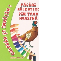 Coloram si invatam! Pasari salbatice din tara noastra
