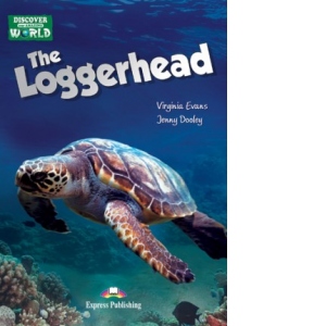 The Loggerhead
