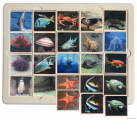 Fauna marina. Joc loto