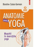 Anatomie pentru yoga