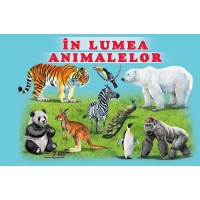 In lumea animalelor﻿
