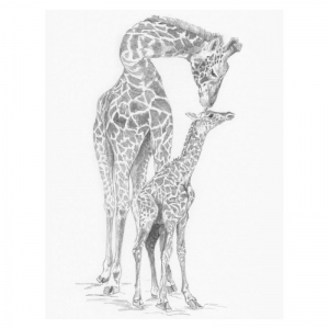 Crochiu incepatori-Girafa cu pui 22x29 cm