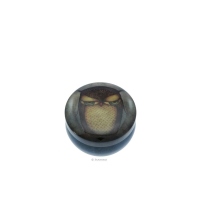 Cutie metalica de depozitare Eclectic Grumpy Owl
