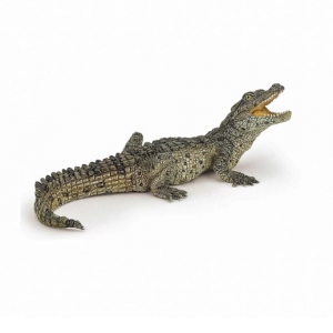 Pui de crocodil - Figurina Papo