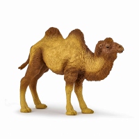 Figurina Papo - Camila Bactrian