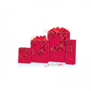 Punga de iarna - Coronita Ornament Craciun XL