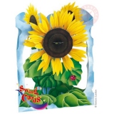 Felicitare 3D Floarea soarelui-Swing Cards