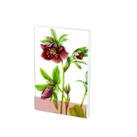 Carnet notite A7 Helleborus, Anita Walsm