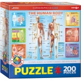 Puzzle 200 piese The Human Body