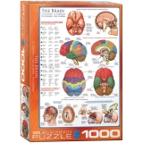Puzzle The Brain, 1000 piese (6000-0256)